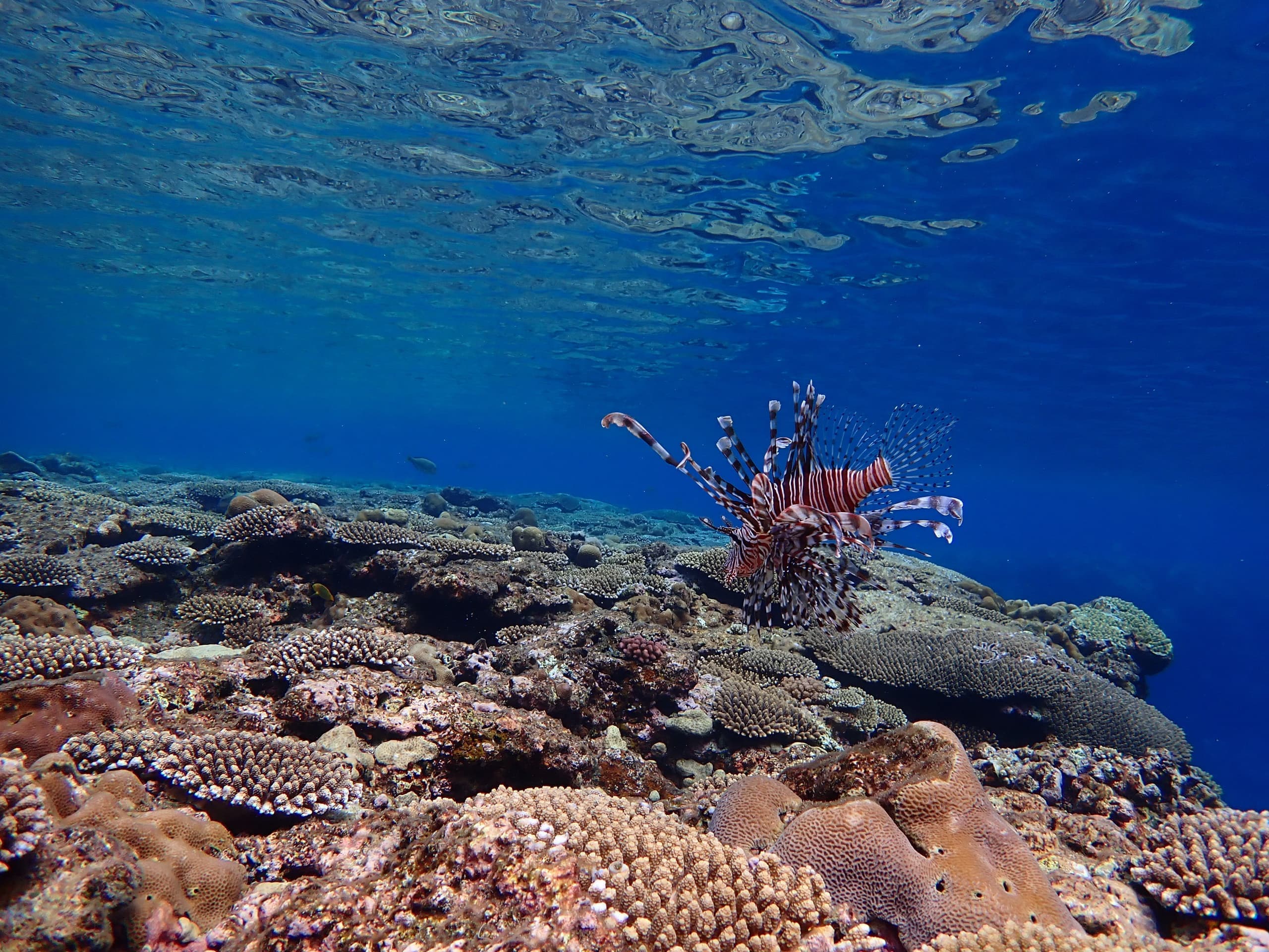 p6274412.jpg