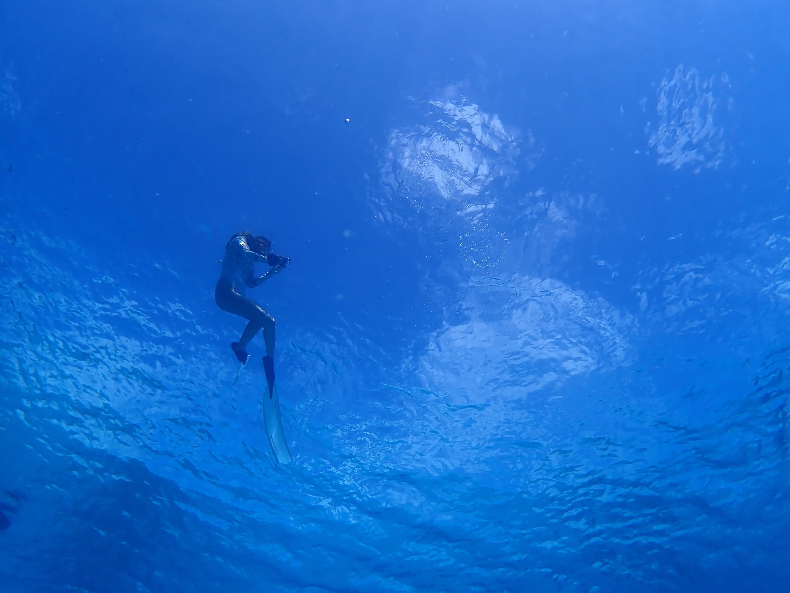 pa051429.jpg