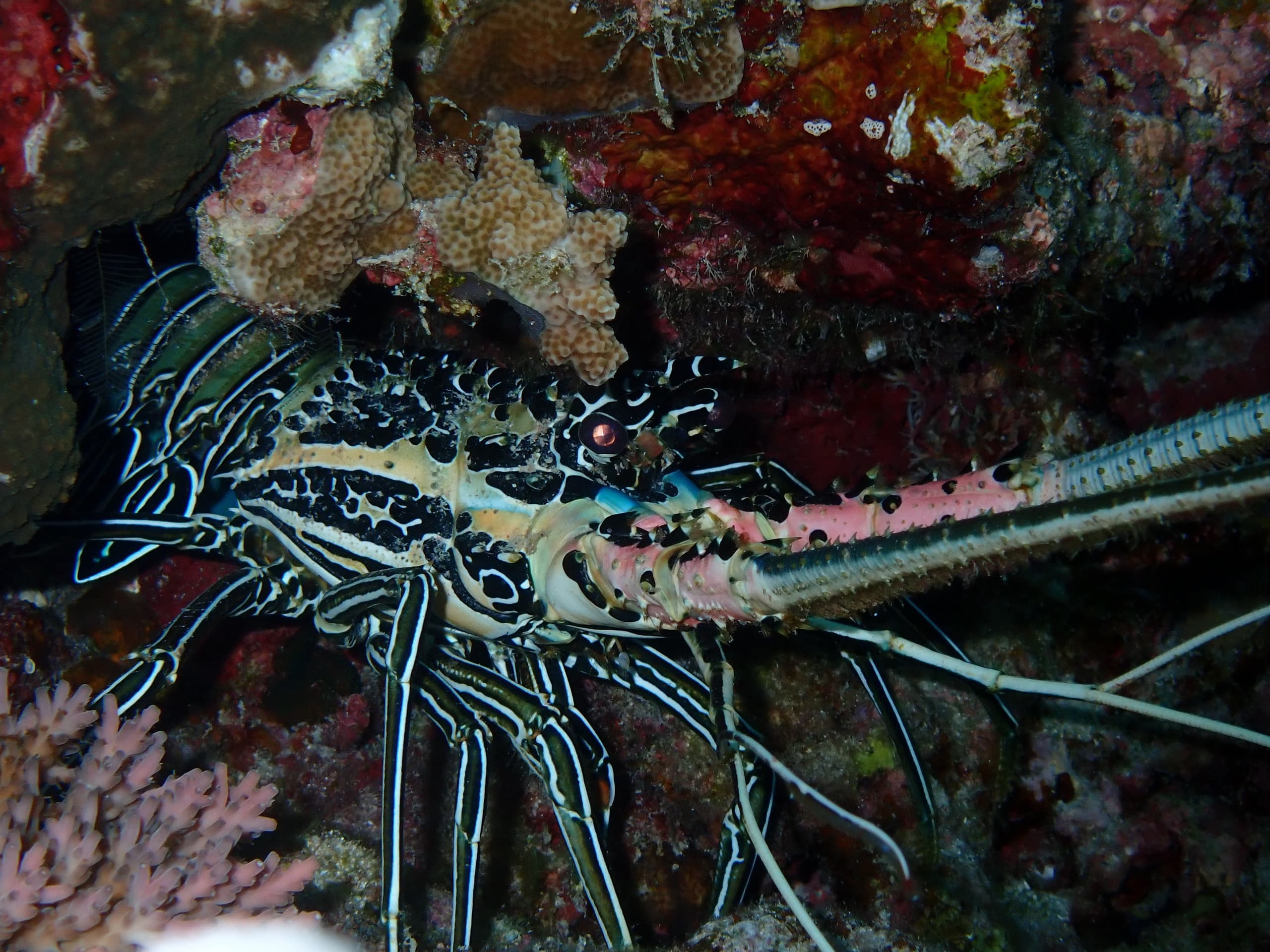 pb026673.jpg